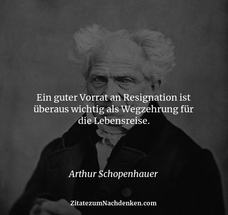 Ein guter Vorrat an Resignation ist überaus wichtig als Wegzehrung für die Lebensreise. - Arthur Schopenhauer