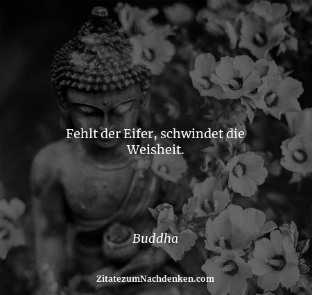 Fehlt der Eifer, schwindet die Weisheit. - Buddha