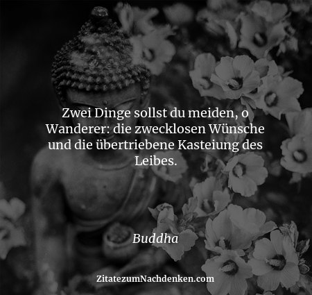 Zwei Dinge sollst du meiden, o Wanderer: die zwecklosen Wünsche und die übertriebene Kasteiung des Leibes. - Buddha