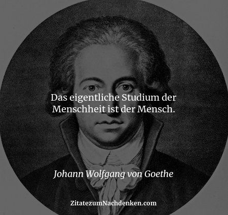 Das eigentliche Studium der Menschheit ist der Mensch. - Johann Wolfgang von Goethe