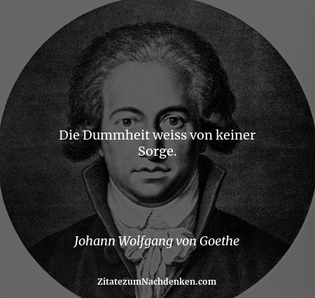 Die Dummheit weiss von keiner Sorge. - Johann Wolfgang von Goethe